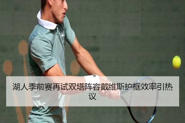 湖人季前赛再试双塔阵容戴维斯护框效率引热议
